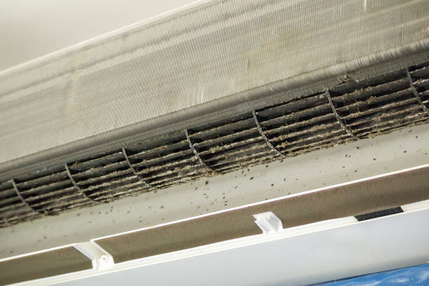 Best Professional Duct Cleaning Services  in Rocky Point, WA